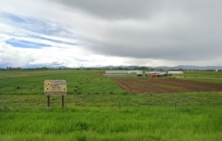 View of the property from timberline road