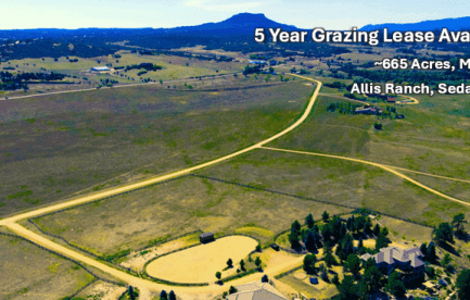 Facing SE, view of eastern meadow/pasture