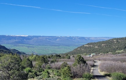 View of the farm looking south