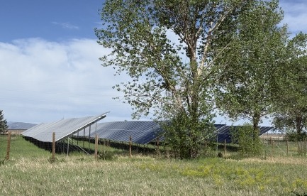 fixed tilt solar array in foreground among trees and vegetation