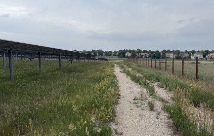A gravel access road lined by solar panels and green lush vegetation. 