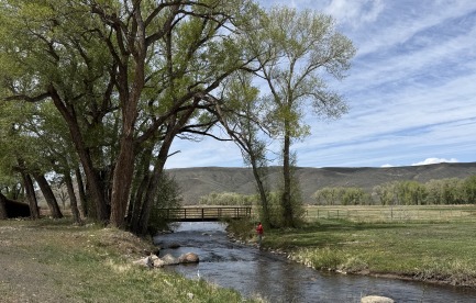 Quartz creek ranch