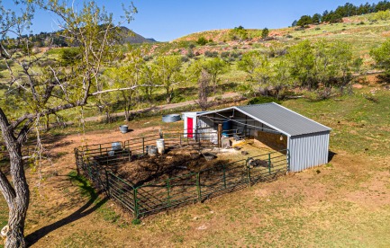 This photo shows the loafing shed in one of the pastures as it was used for pigs.