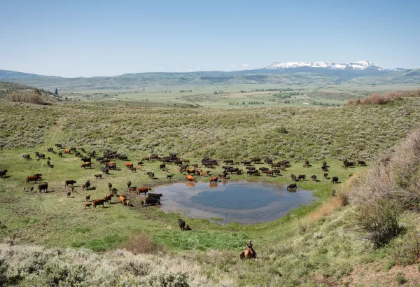 Colorado landscape