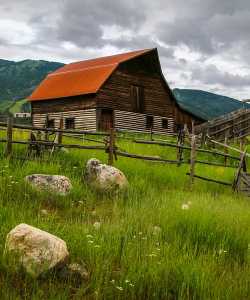 Barn with red roof and wooden siding on steep slope in field with ski trails on mountain behind. 