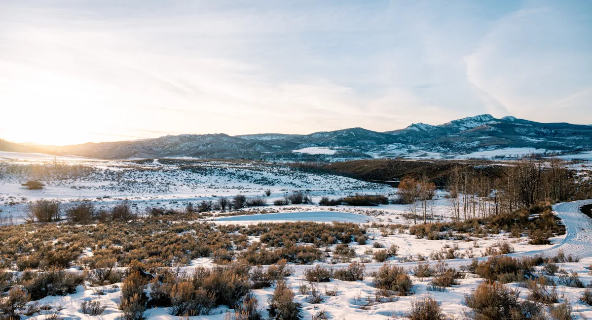 Snowy Landscape