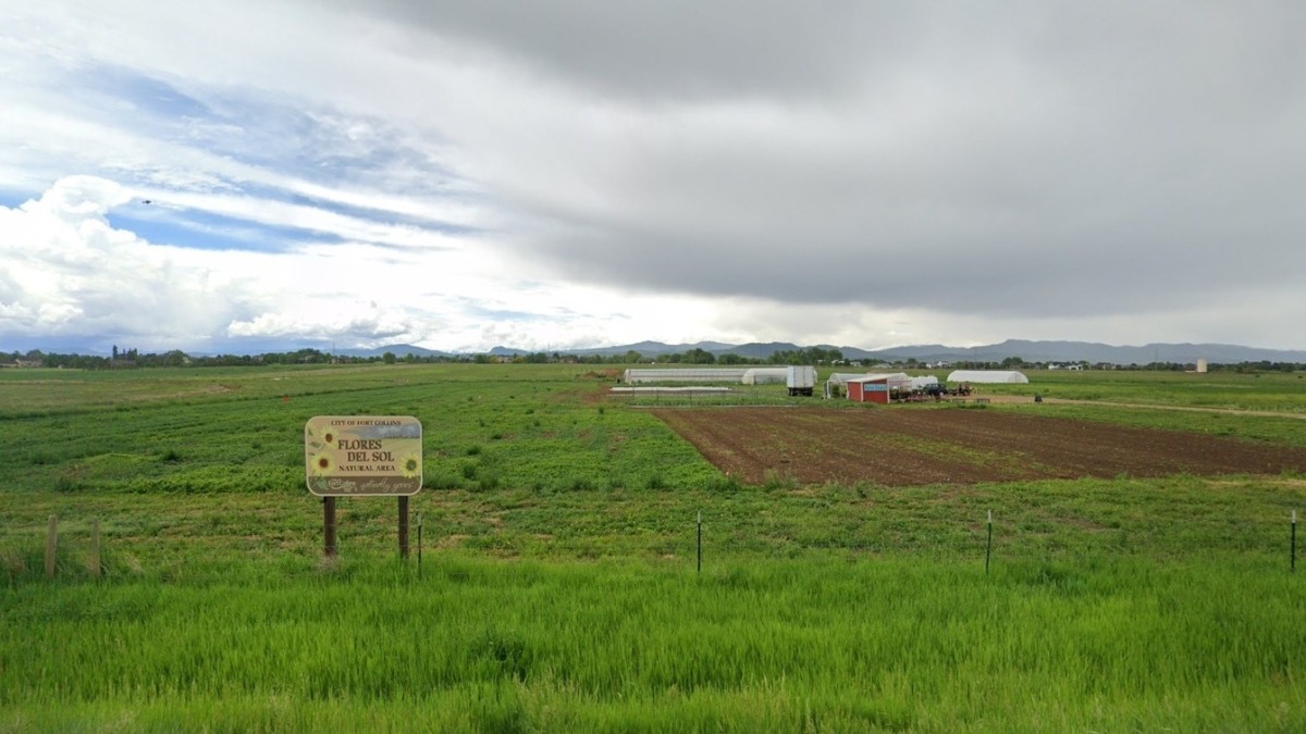 View of the property from timberline road