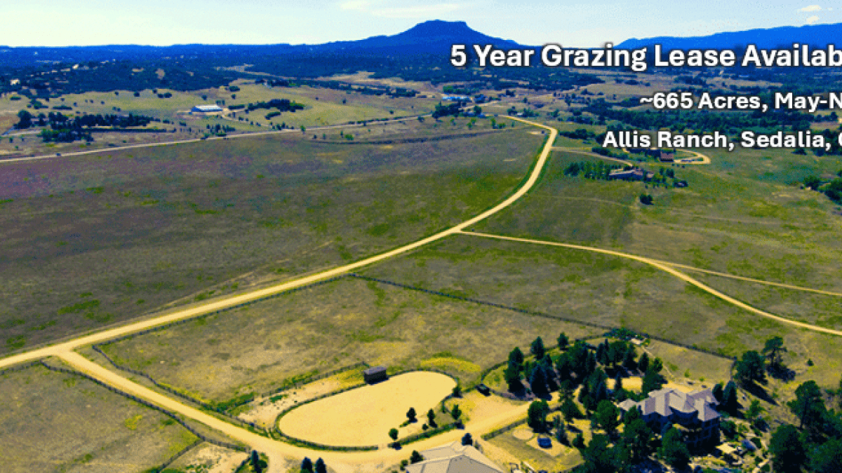 Facing SE, view of eastern meadow/pasture