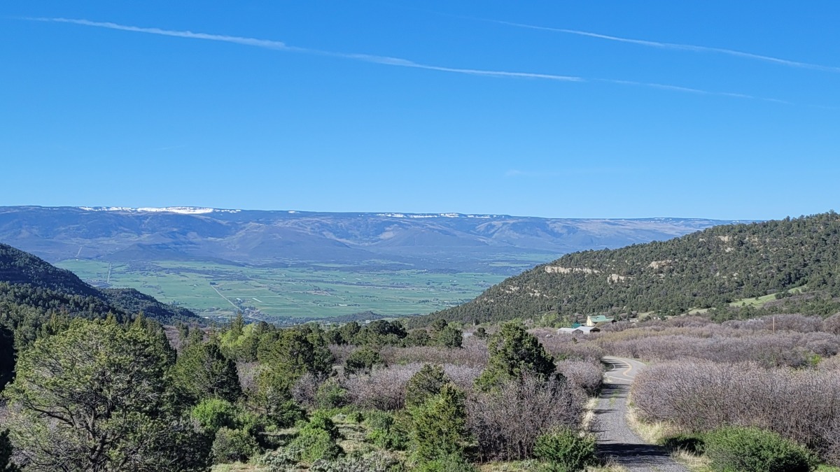 View of the farm looking south