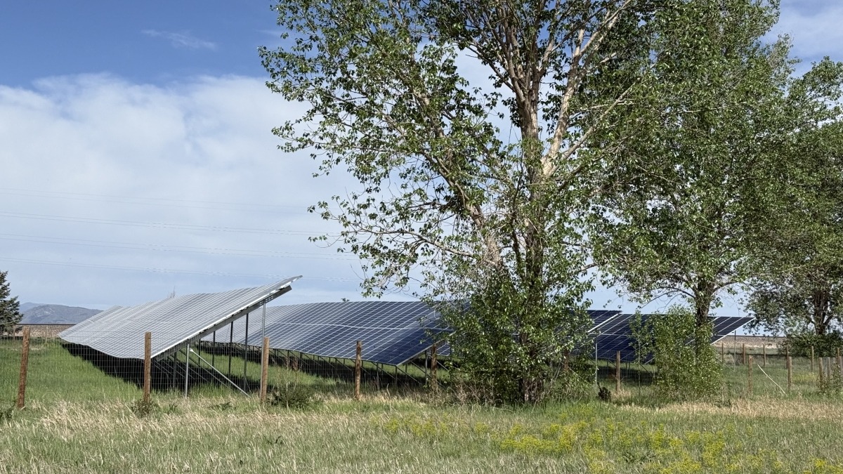 fixed tilt solar array in foreground among trees and vegetation