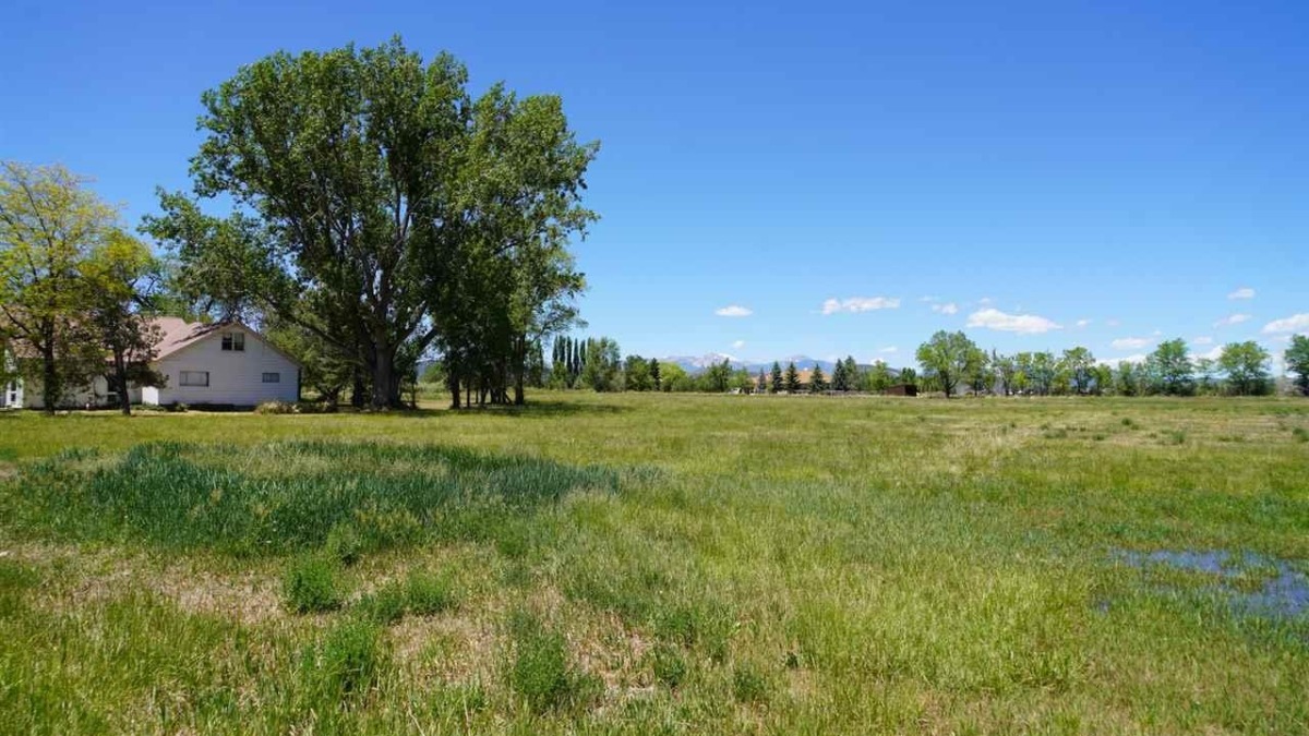 View of field and house