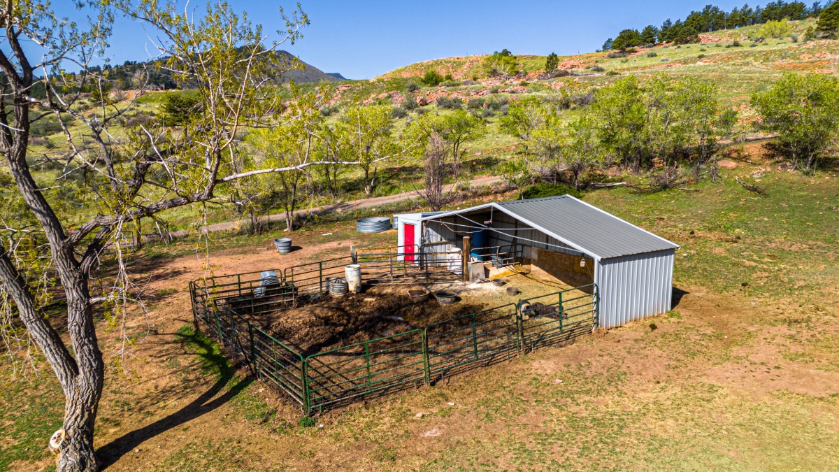 This photo shows the loafing shed in one of the pastures as it was used for pigs.