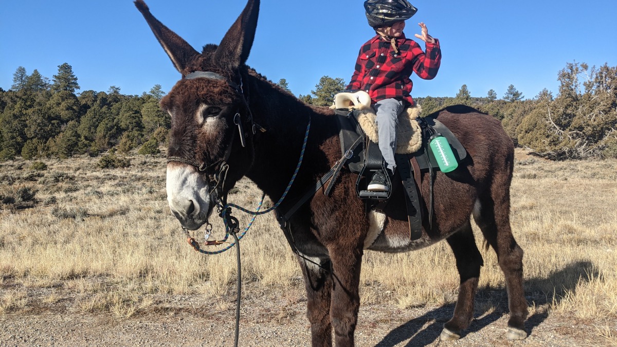 Child with cognitive, physical and visual impairments on a mammoth donkey