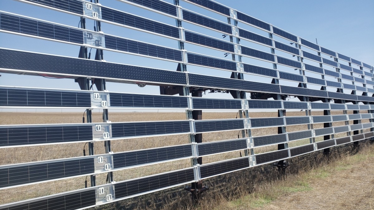 Agrivoltaic system in wind break positon
