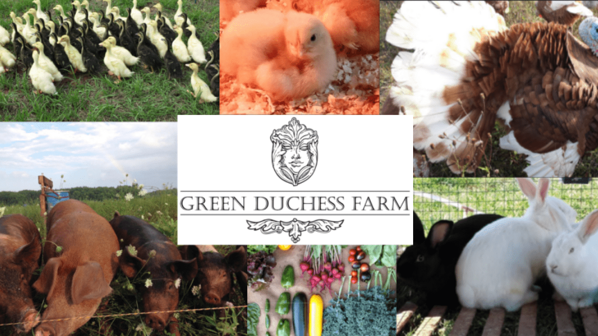 Green Duchess Farm logo surrounded by images of livestock and vegetables