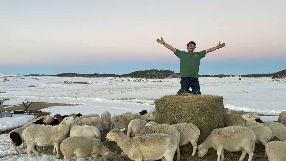 Me on a hay bale we were feeding our sheep. Gotta have fun while working!