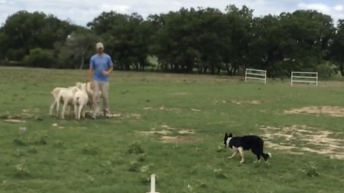 Property I formerly leased.