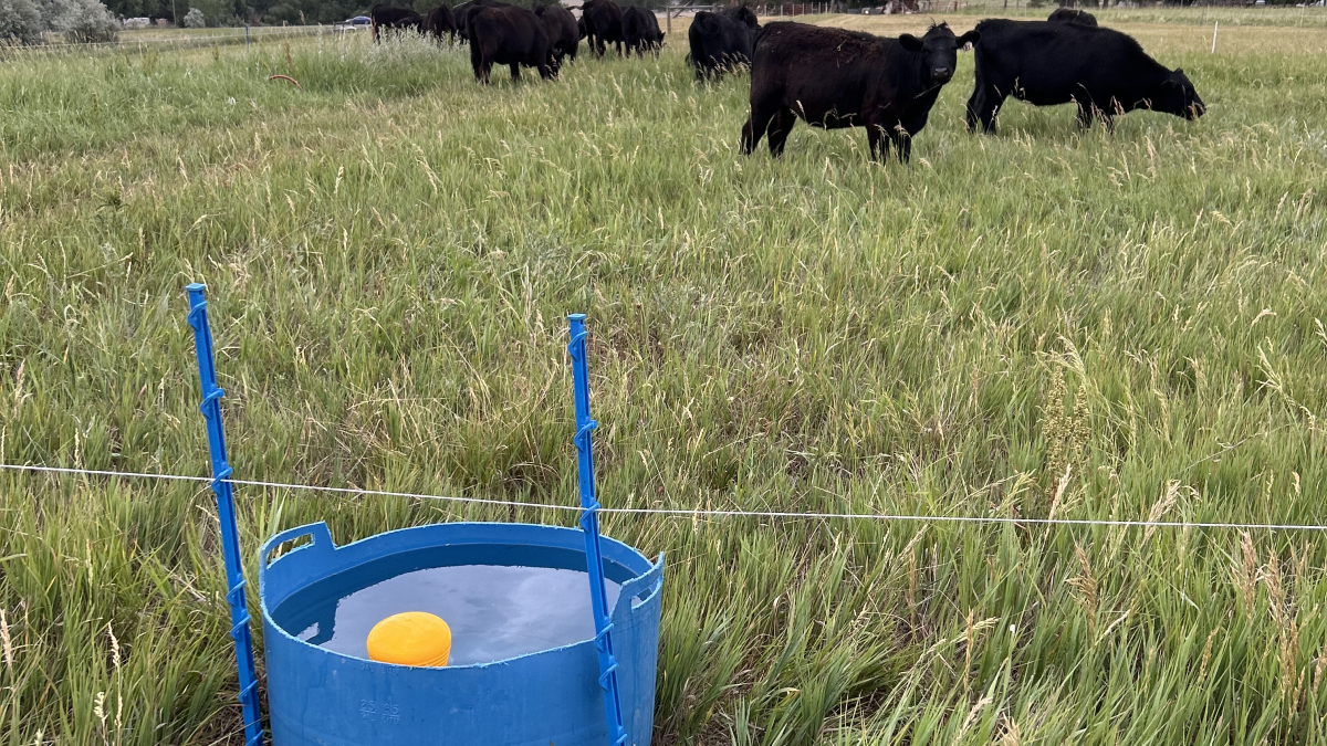 Designing, building, and maintaining water distribution infrastructure.