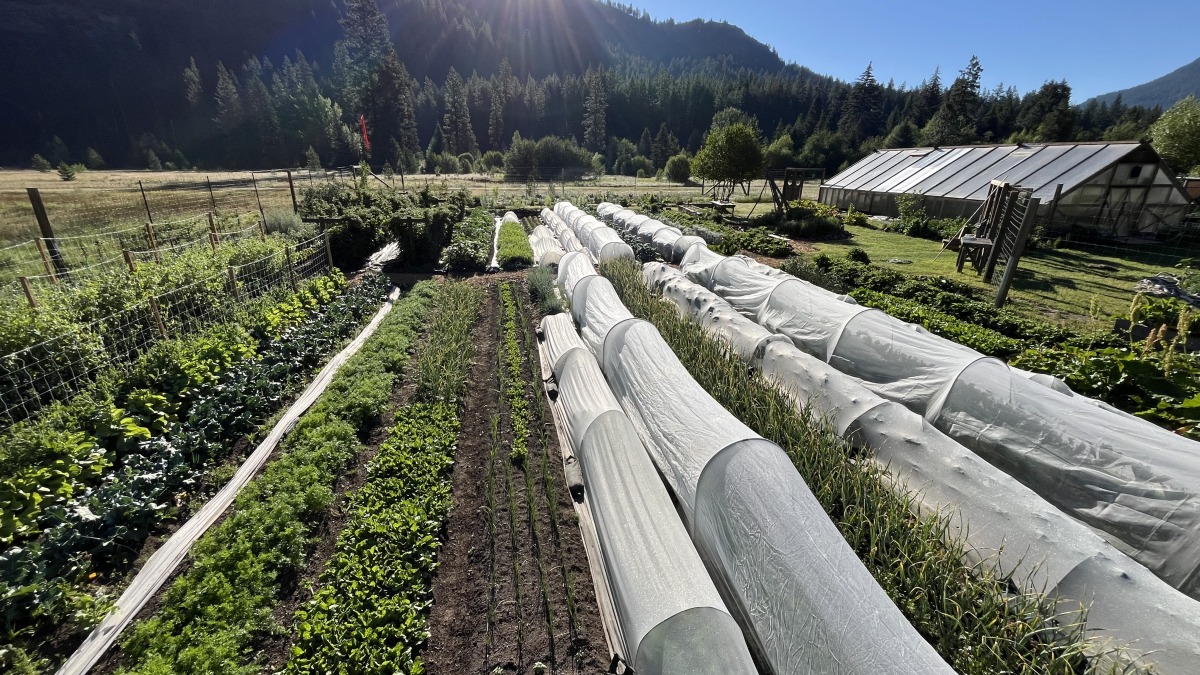 Market garden in the mountains