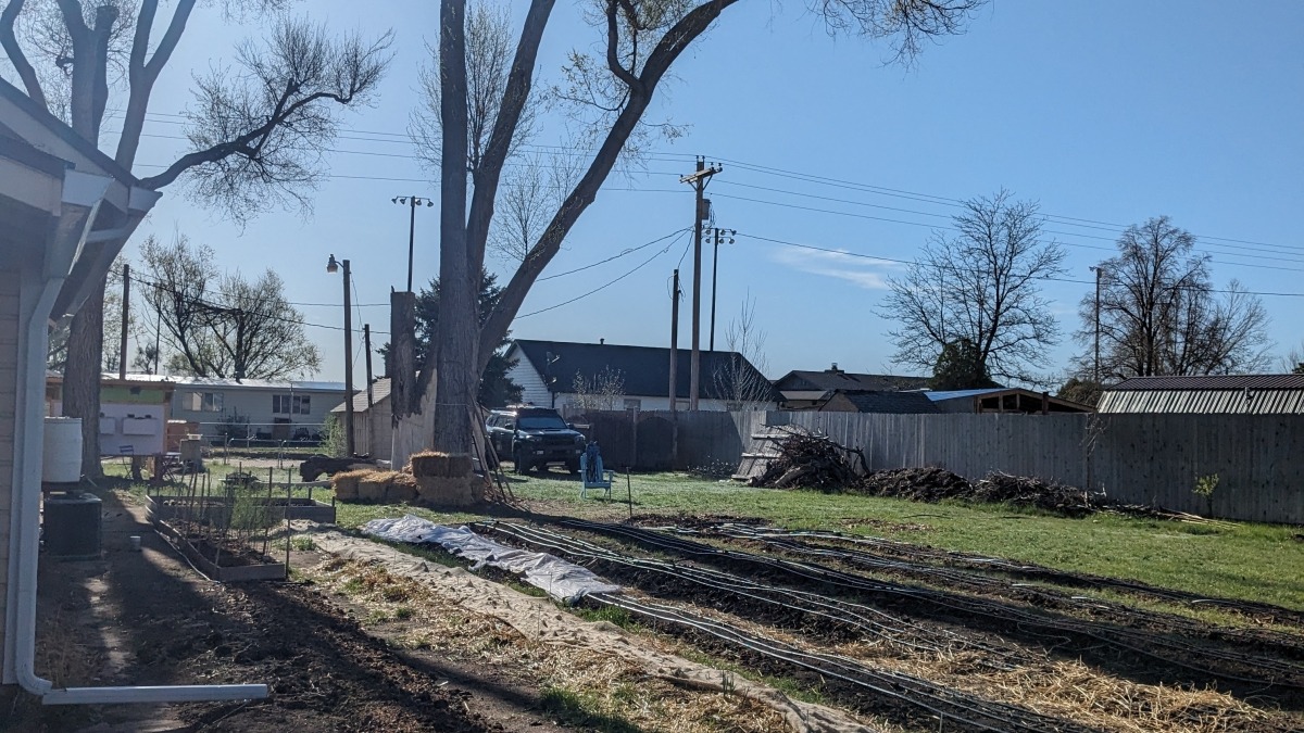 Row crops at Wild Wiggins Homestead