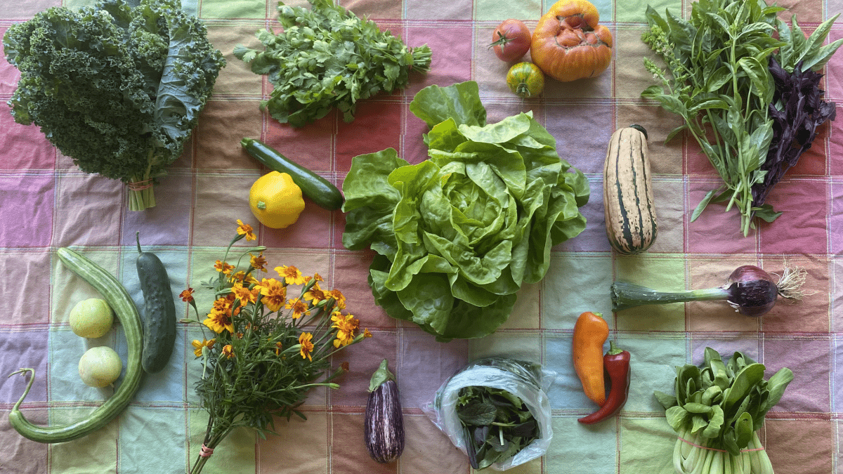 an example of a summer CSA share