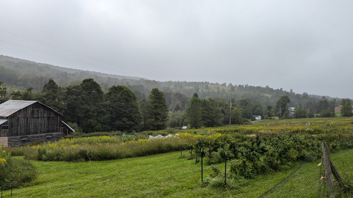 10 acre property in upstate NY we owned/managed for 3 years restoring habitat, creating diverse hedgerows, and utilizing natural environment for productive veg growing.