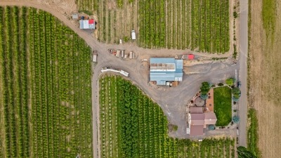 Top down view of layout of buildings and home