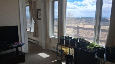 Bedroom south facing window