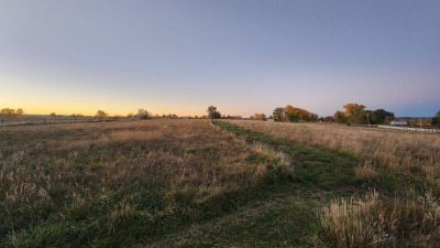 Irrigated cover crops