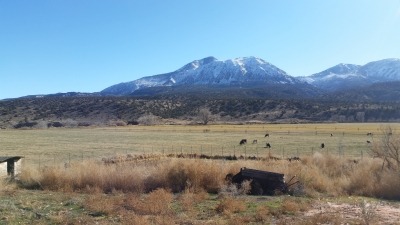 ute mountain backdrop behind fields 