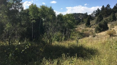 Lower field