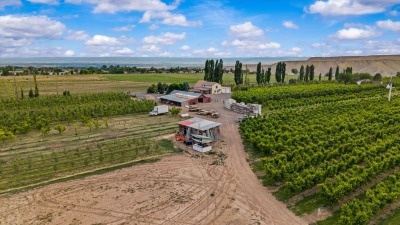 Fruita Trees and Veggie Acreage