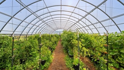 Greenhouse 1