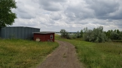 Shed and Barn