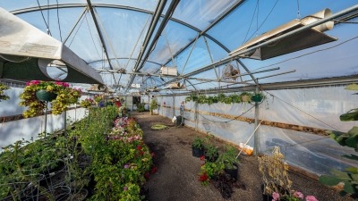 Greenhouse 3