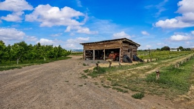 Shed