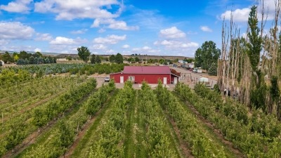 Trees and Bunkhouse