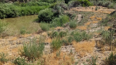 back acreage to McElmo Creek