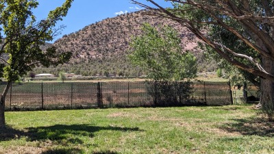 Front yard to field