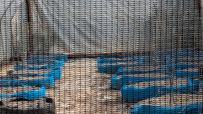hoophouse