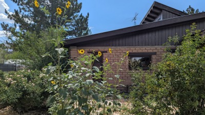 East patio