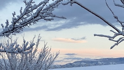 Winter Fields