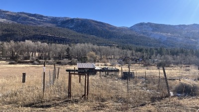 Existing school garden