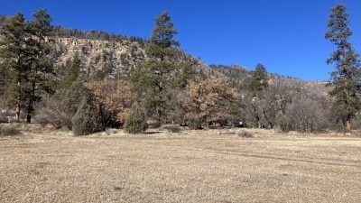 Large disc golf field looking west