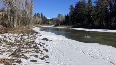 Looking north along the Animas River