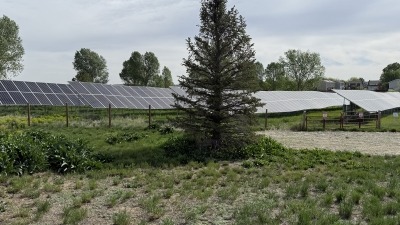 Additional angle of solar array site showing outside perimeter with fencing and tree. 