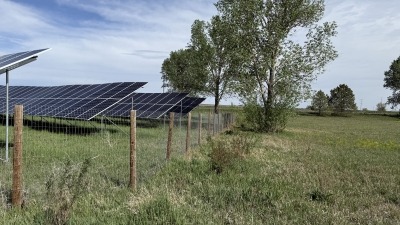 Image of fixed tilt solar array in foreground among trees and vegetation