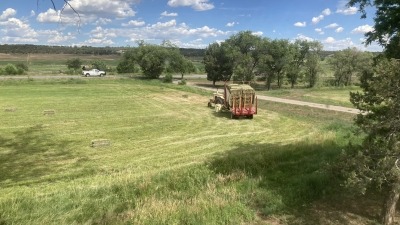 Stacking hay in summer