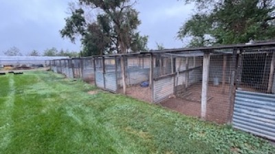 Small animal pen