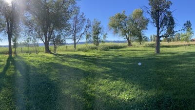 View of field and barn